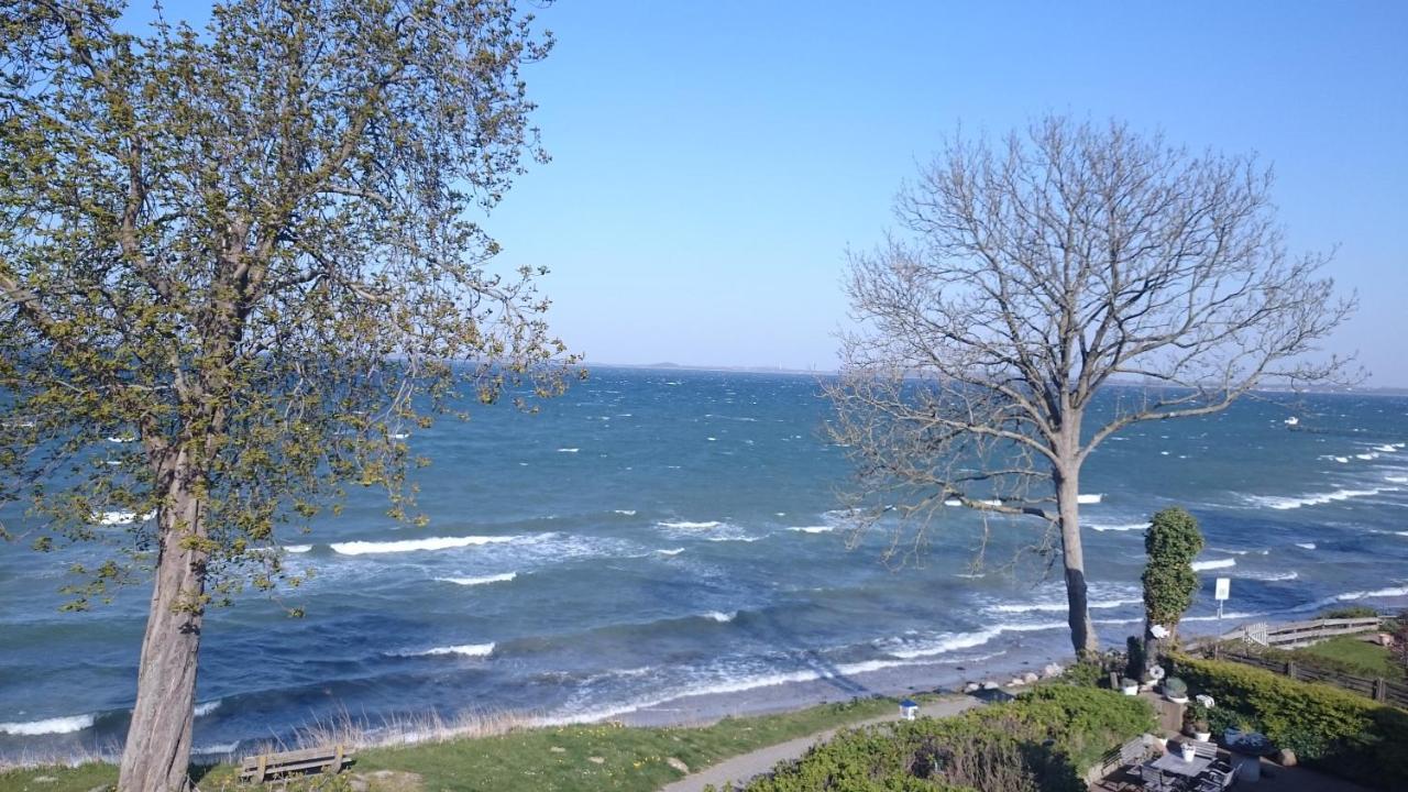 Strandappartement Steinberghaff "Farborg" Mit Meerblick Steinberg  Εξωτερικό φωτογραφία